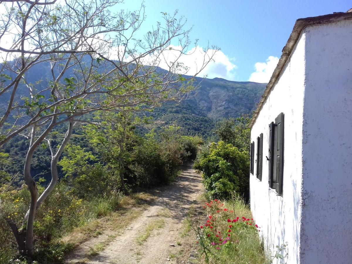 Ikarian Centre - Accommodation & Mountain Hiking Evdilos  Eksteriør billede