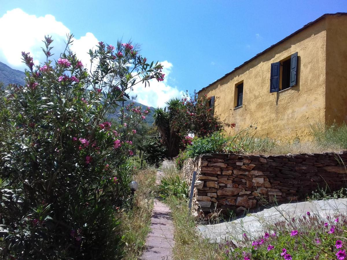 Ikarian Centre - Accommodation & Mountain Hiking Evdilos  Eksteriør billede