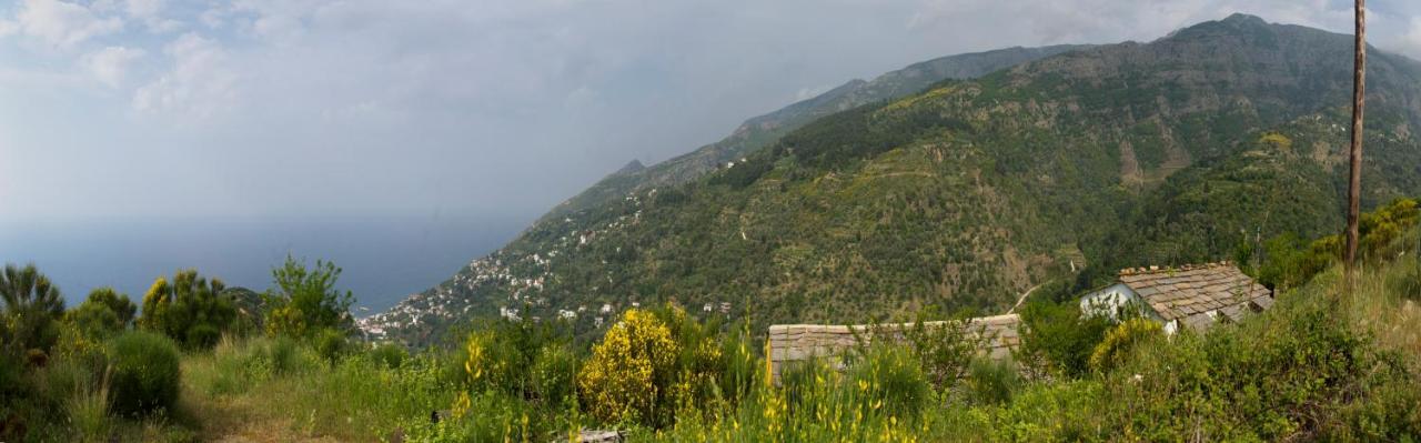 Ikarian Centre - Accommodation & Mountain Hiking Evdilos  Eksteriør billede