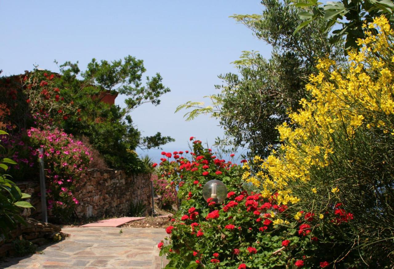 Ikarian Centre - Accommodation & Mountain Hiking Evdilos  Eksteriør billede